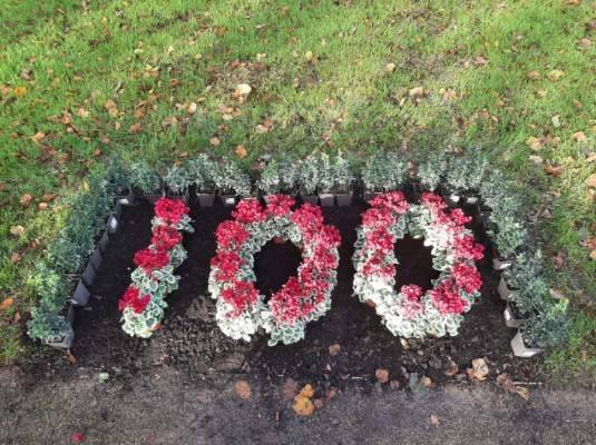 Remembrance 100 In WBF Flowers