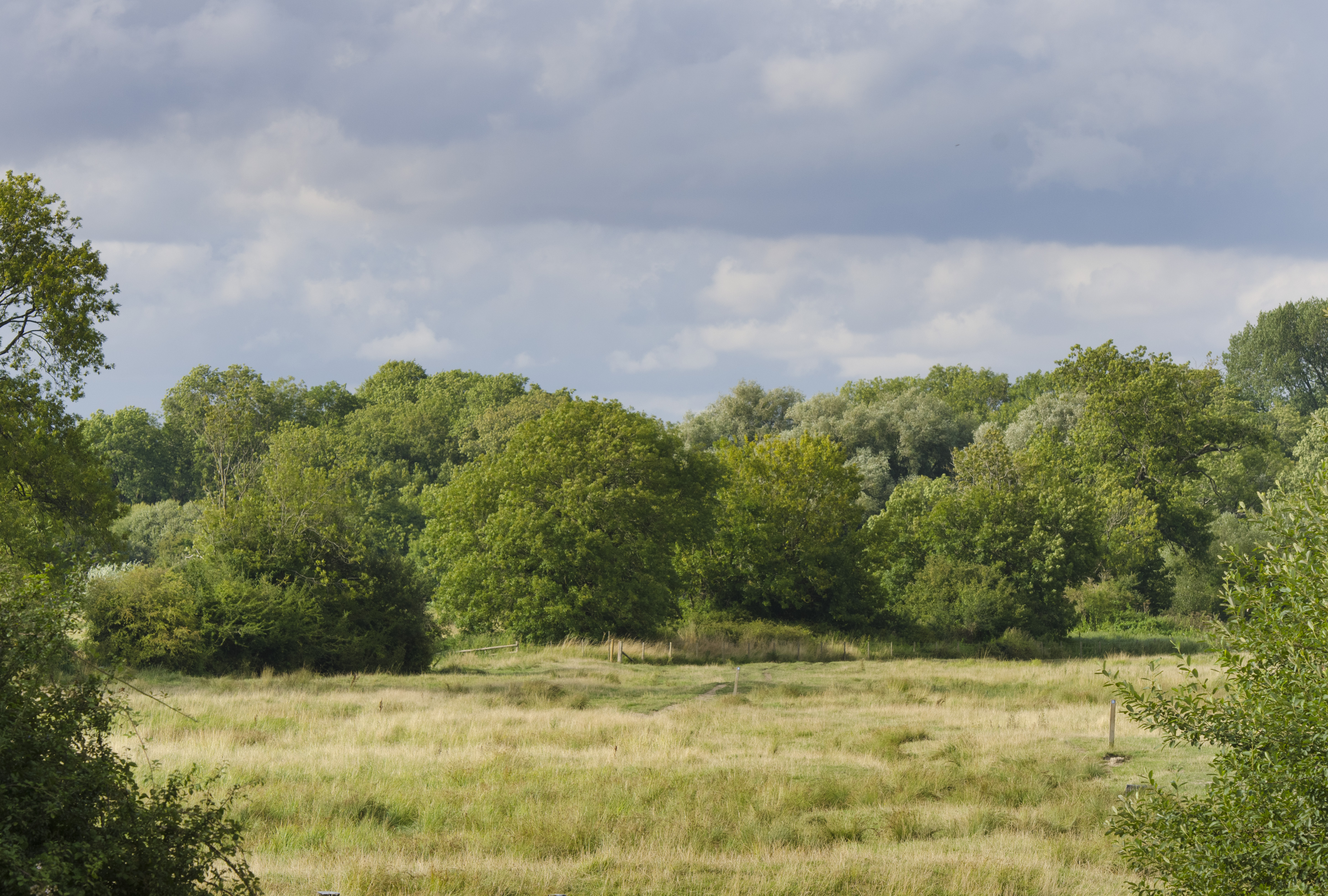 Itchen_Valley_Country_Park60.jpg