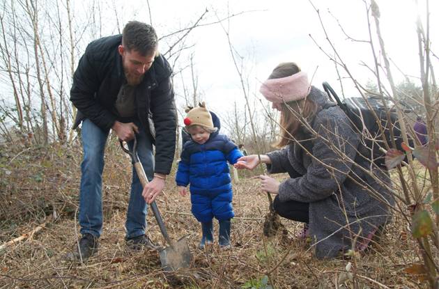 Young Family Tree Planting Web
