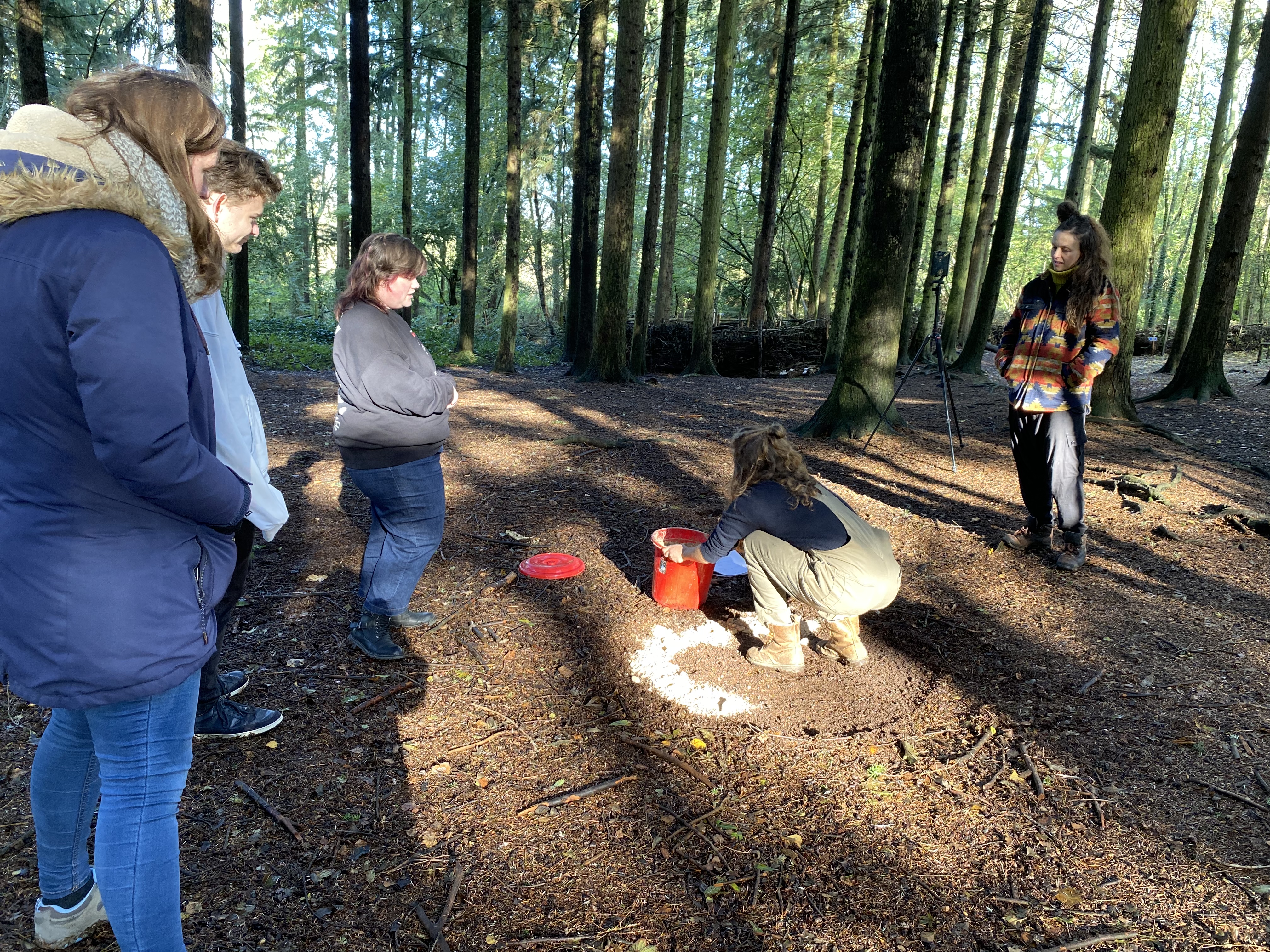 Young people taking part in task in the woods