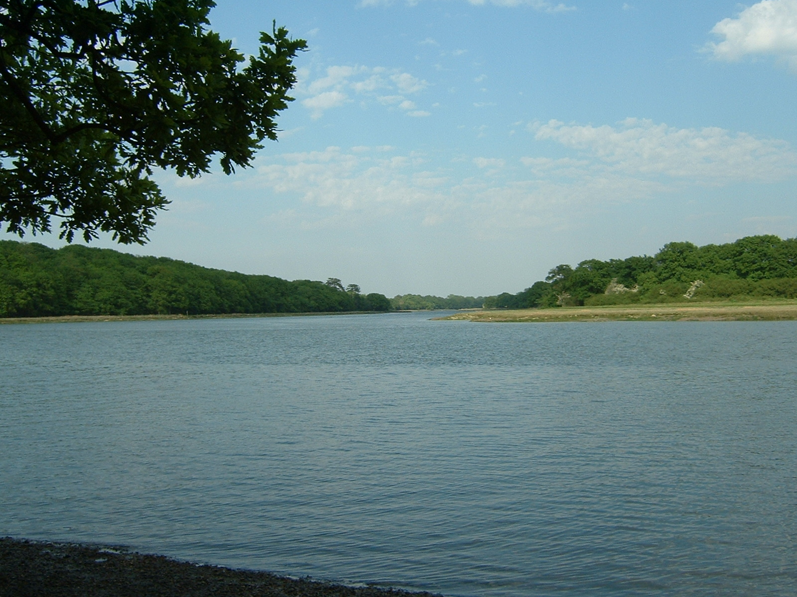 Riverhambleupstream