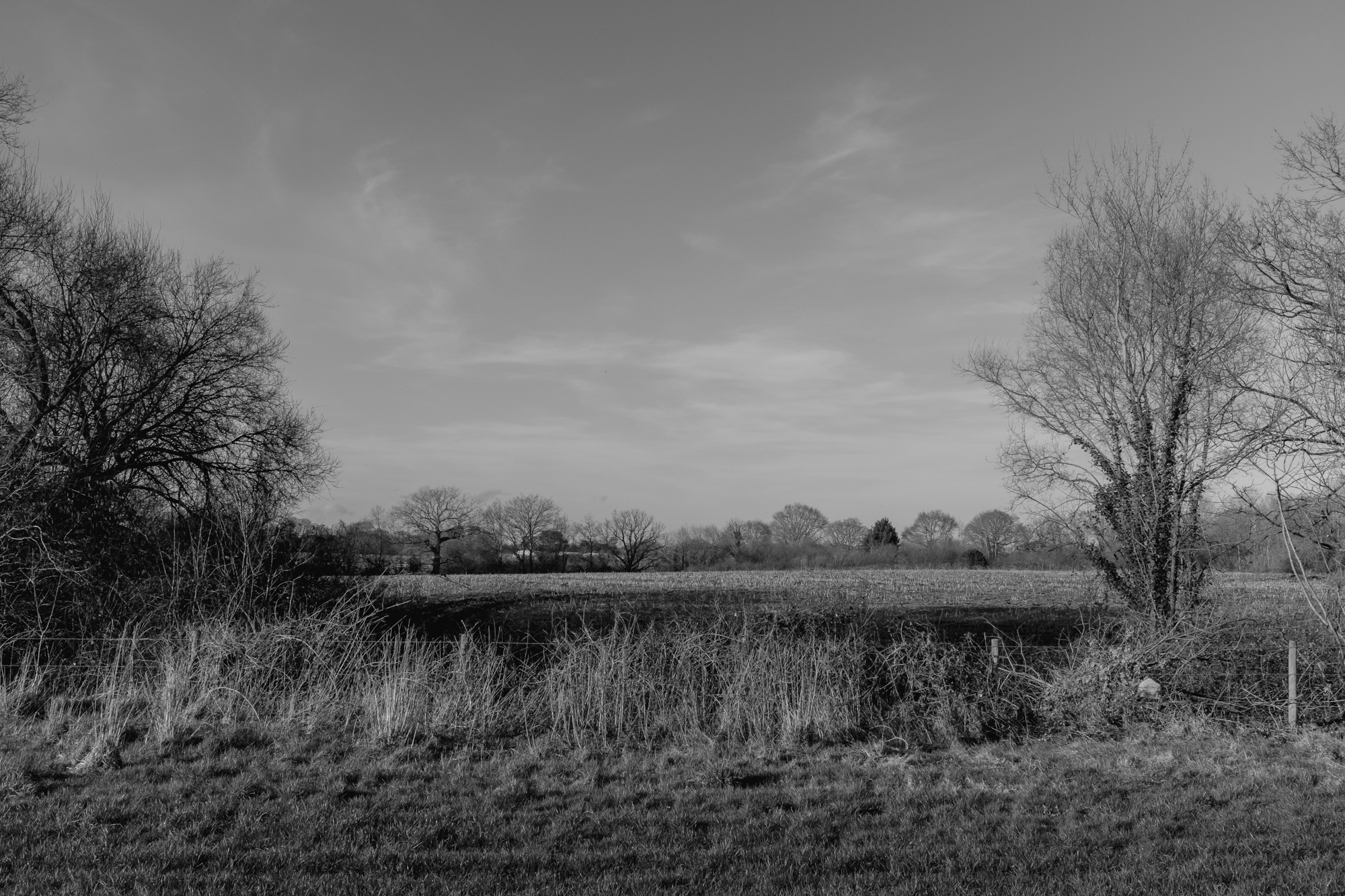 DSCF6659