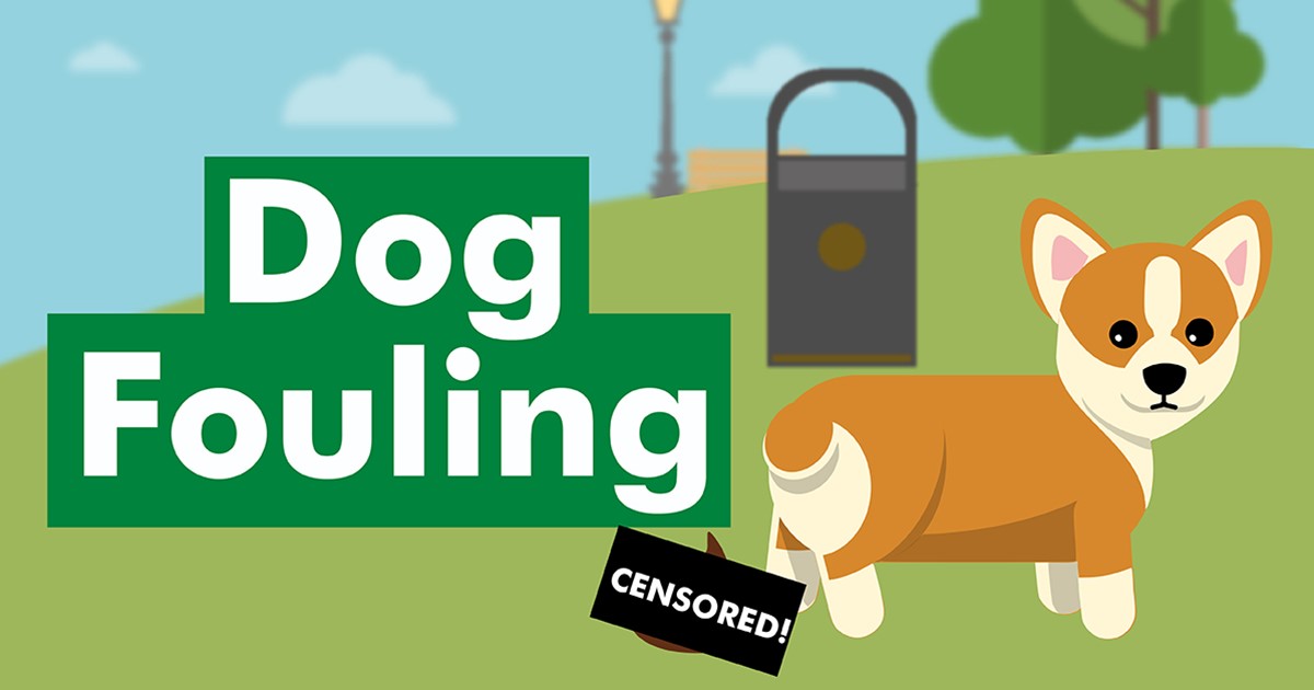 59-droll-public-space-protection-orders-dog-fouling-photo-hd-uk