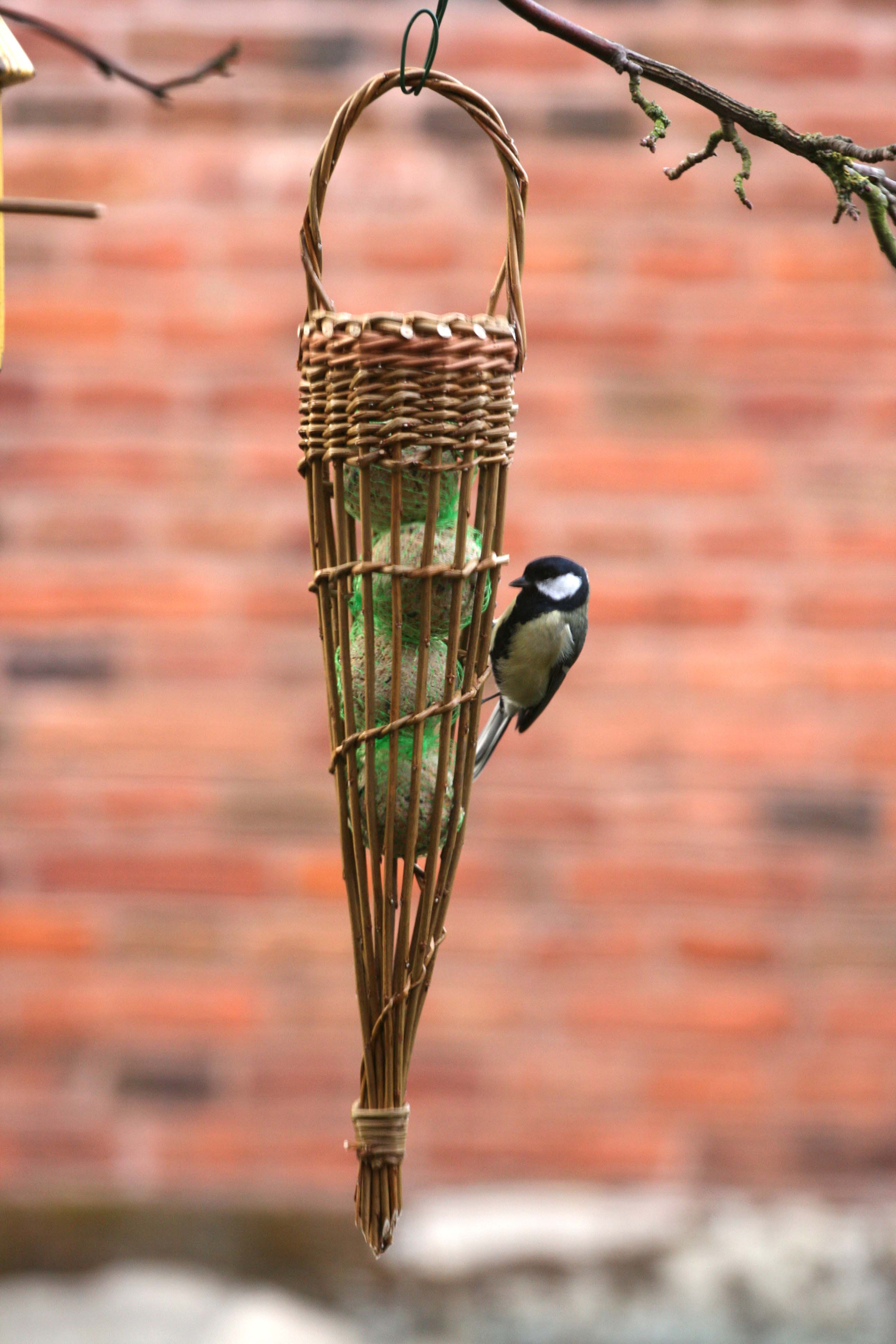 Bird Feeder2