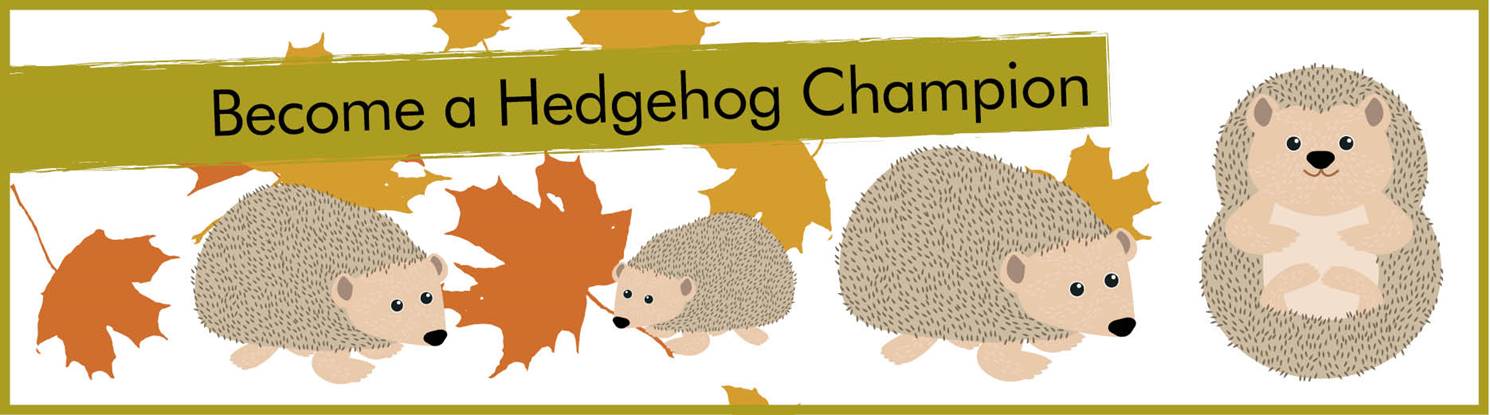 Hedgehog Banners7