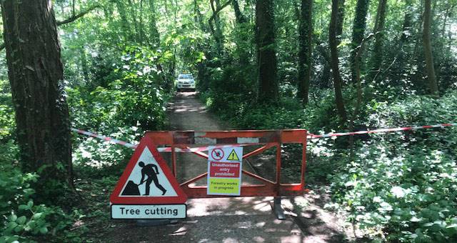Tree Works Sign Titchfieldcrop