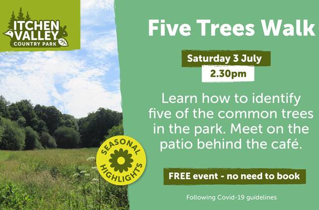 Five Trees Walk 3 July (1)